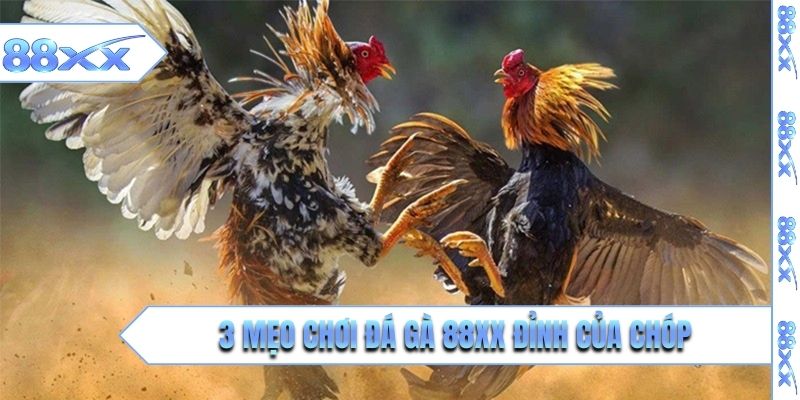 3 mẹo chơi đá gà 88XX đỉnh của chóp