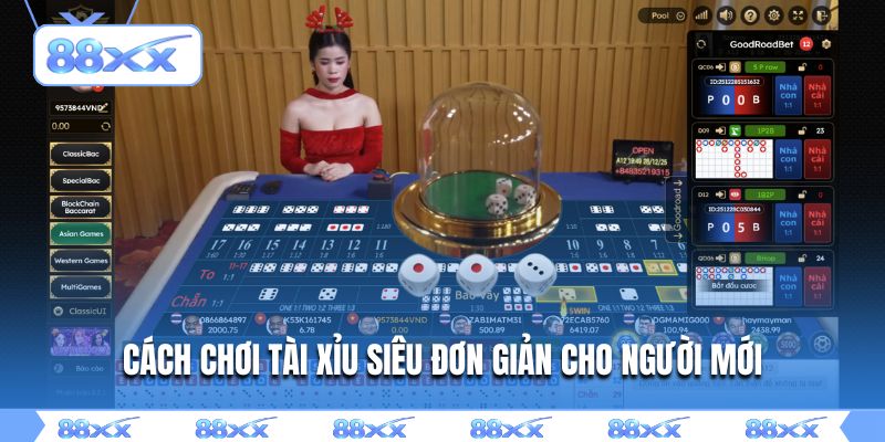 Cách chơi tài xỉu siêu đơn giản cho người mới