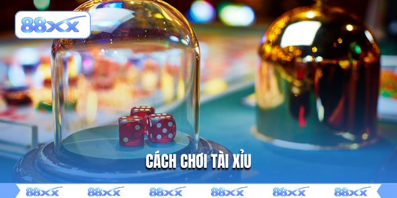 cách chơi tài xỉu