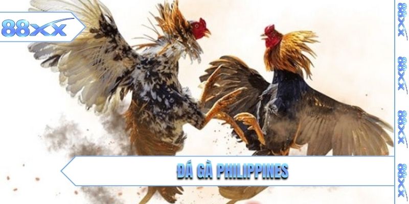 đá gà philippines