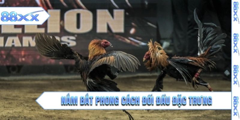 Nắm bắt phong cách đối đầu đặc trưng