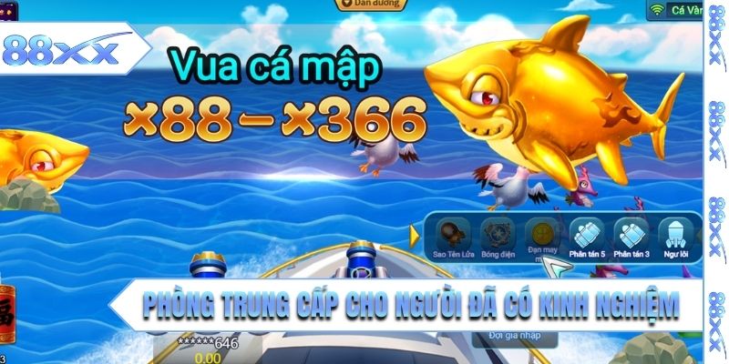 Phòng trung cấp cho người đã có kinh nghiệm 